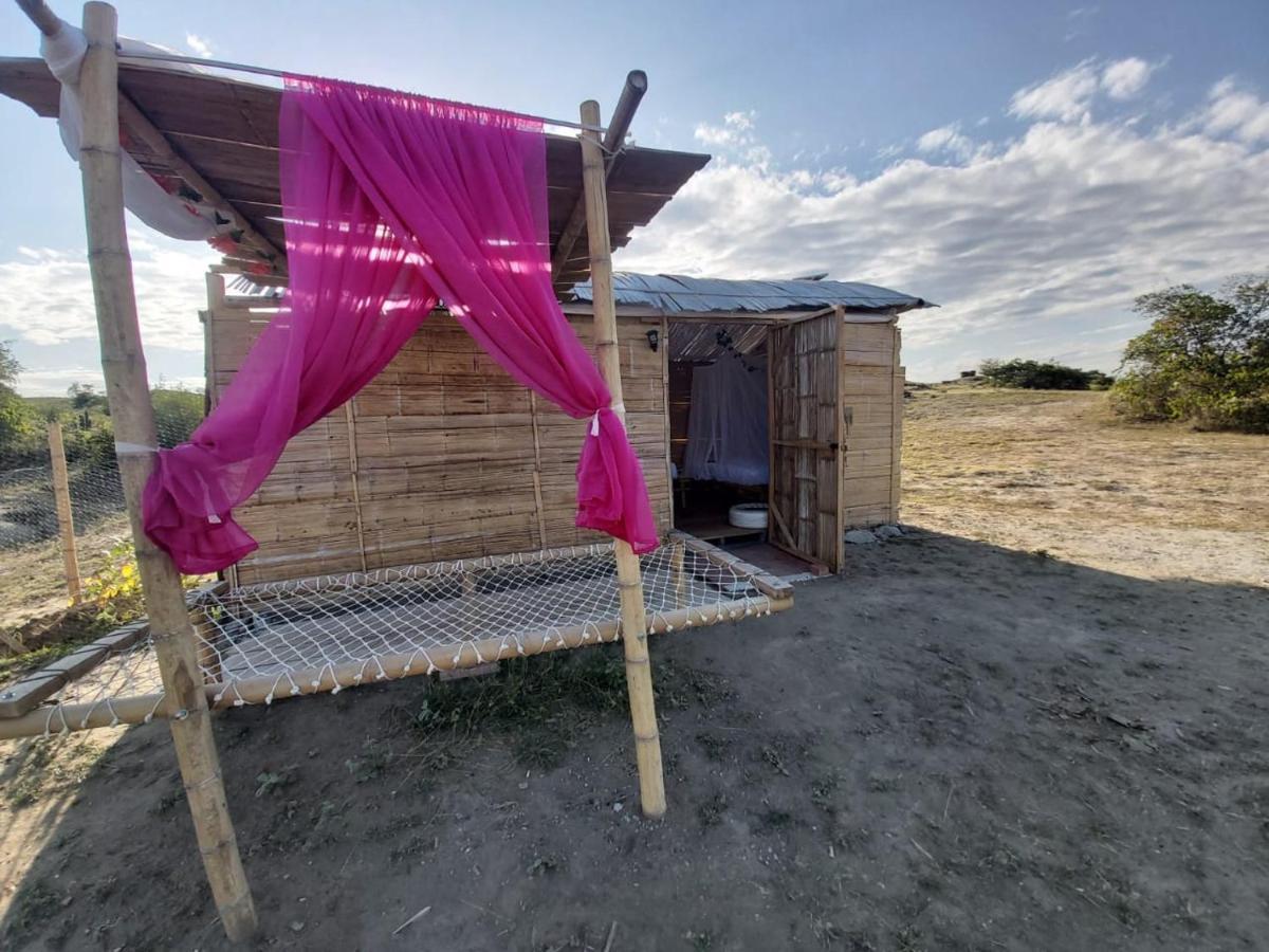 Biohotel Tatacoa Qji Вильявьеха Экстерьер фото